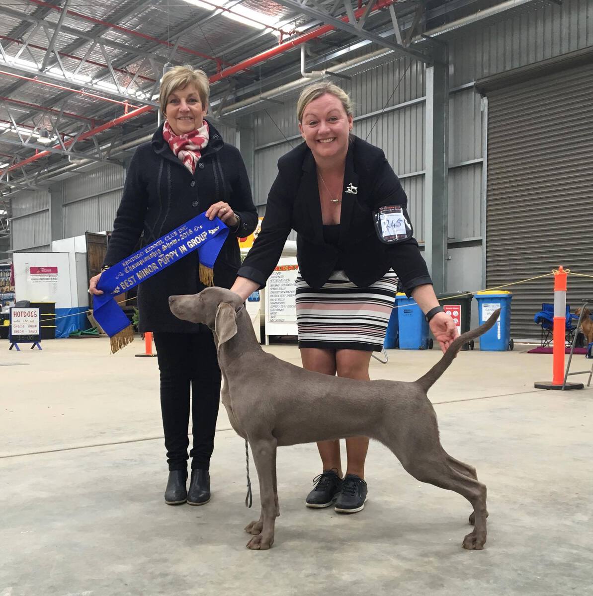 Image of Bromhund Free Fall