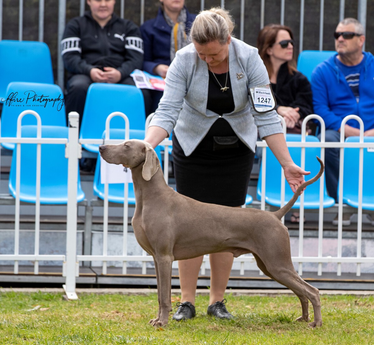 Image of Waldo at Bromhund by Atria Cordis