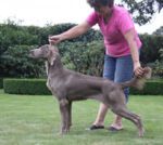 Thumbnail of Carnmellis Kiss N Tell