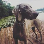 Thumbnail of Blue Jean Blues Just Dance 