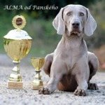 Thumbnail of Alma od Panskeho