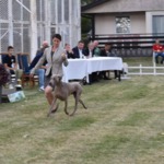 Thumbnail of Omega des Fantomes Gris de la Selune