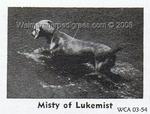 Thumbnail of Misty of Lukemist