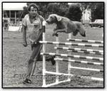 Thumbnail of Greyghost Fortune