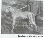 Thumbnail of Murkel von der Alten Eiche