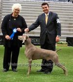 Thumbnail of Pewterun Greydove Blackmagic