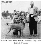 Thumbnail of Astor von Red Rock