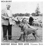 Thumbnail of Harvest Hills True Love