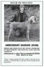 Thumbnail of Ambersbury Bandore