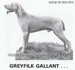 Thumbnail of Greyfilk Gallant