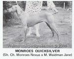 Thumbnail of Monroe's Quicksilver
