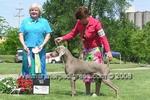 Thumbnail of Win'Weim N Nani Paparazzi