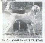 Thumbnail of Kympenna's Tristan