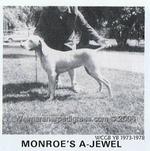 Thumbnail of Monroe's Ajewel