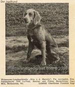 Thumbnail of Sitta von der Murwitz