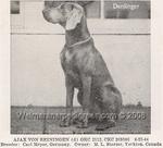 Thumbnail of Ajax von Reiningen