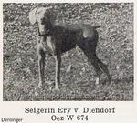 Thumbnail of Ery von Diendorf