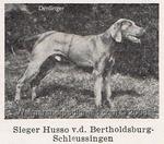 Thumbnail of Husso von der Bertholdsburg-Schleussingen