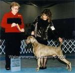 Thumbnail of Grea's Coast To Coast