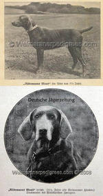 Thumbnail of Rudemann's Maus