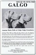 Thumbnail of Amarna Marie Helle at Galgo