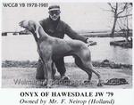 Thumbnail of Onyx of Hawsvale
