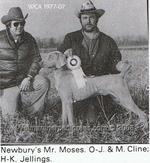 Thumbnail of Newbury's Mister Moses