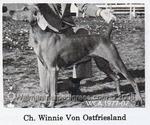 Thumbnail of Winnie von Ostfriesland