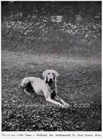 Thumbnail of Tasso von Nusswald