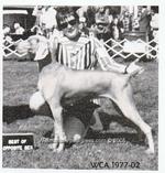 Thumbnail of Green Acres Moonlight Mystique