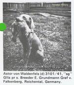 Thumbnail of Astor von Waldenfels