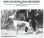 Thumbnail of Divani Star Belletrix