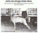 Thumbnail of Divani Star Vega
