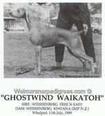 Thumbnail of Ghostwind Waikatoh
