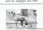 Thumbnail of Griswold Gun Shot