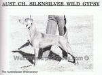 Thumbnail of Silknsilver Wild Gypsy