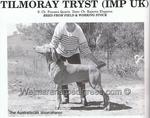 Thumbnail of Tilmoray Tryst