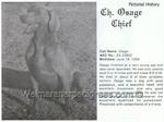 Thumbnail of Osage Chief