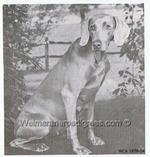 Thumbnail of Dofos Moonspinner