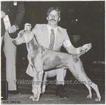 Thumbnail of Silversmith Harbor Pilot