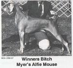 Thumbnail of Myer's Alfie Mouse