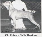 Thumbnail of Ultima's Sadie Hawkins