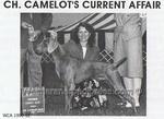 Thumbnail of Camelot's Current Affair