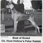 Thumbnail of Hoot Hollow's Peter Rabbit