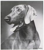 Thumbnail of Halann's Gustav