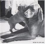 Thumbnail of Phayreheidi Harmony of Hillmist