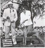 Thumbnail of Green Acres Cardi Curtain Call