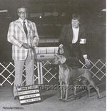 Thumbnail of Green Acres Cardi Show Stopper