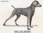 Thumbnail of Bodo von Reiningen