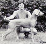 Thumbnail of Bulphan Songster of Greyshot